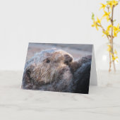 Sweet Face Zee Otter Kaart (Gele Bloem)