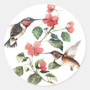Sweet Floral Hummingbird Paar Ronde Sticker