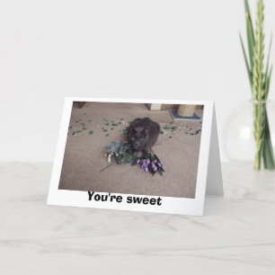 Sweet Friend Bedankkaart