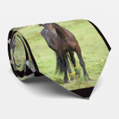 Sweet Friesian Horse Stropdas (Opgerold)