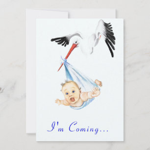 Sweet Funny Stork Baby shower Uitnodiging