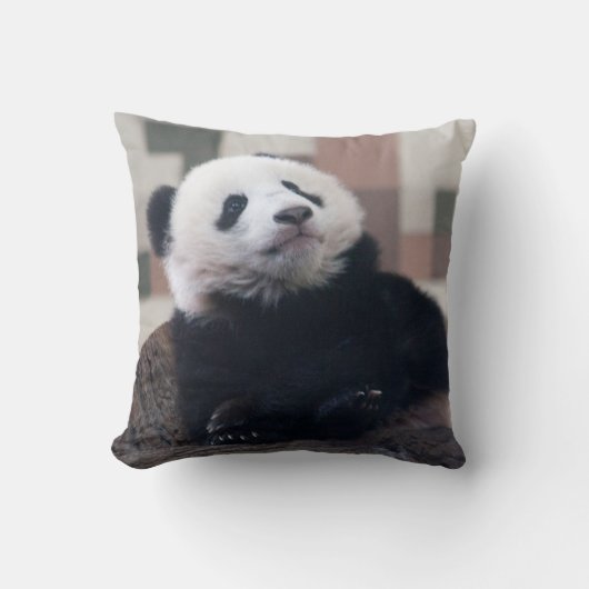 Sweet Giant Panda Baby Kussen (Voorkant)