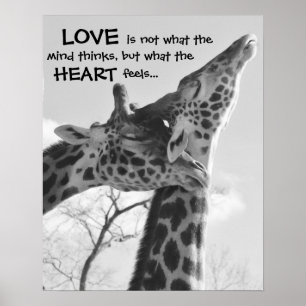 Sweet Giraffe Poster LOVE est ce que votre coeur r