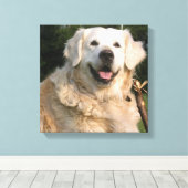 Sweet Golden Retriever Canvas Print (Insitu (Houten vloer))
