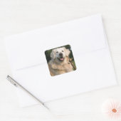 Sweet Golden Retriever Stickers (Envelop)