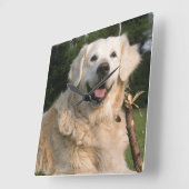 Sweet Golden Retriever Wall klok (Hoek)