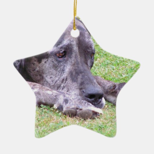 Sweet Great Dane Ornament (Voorkant)