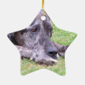 Sweet Great Dane Ornament (Achterkant)
