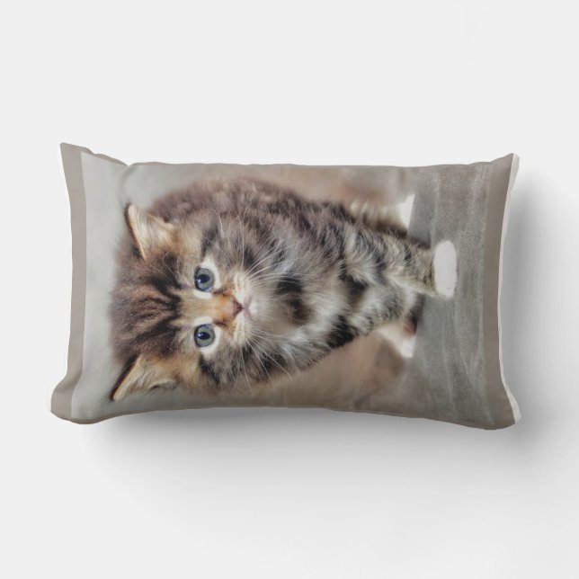 Sweet grumpy Baby Kitten Kussen (Voorkant)