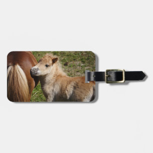 Sweet Haflinger Foal Bagagelabel