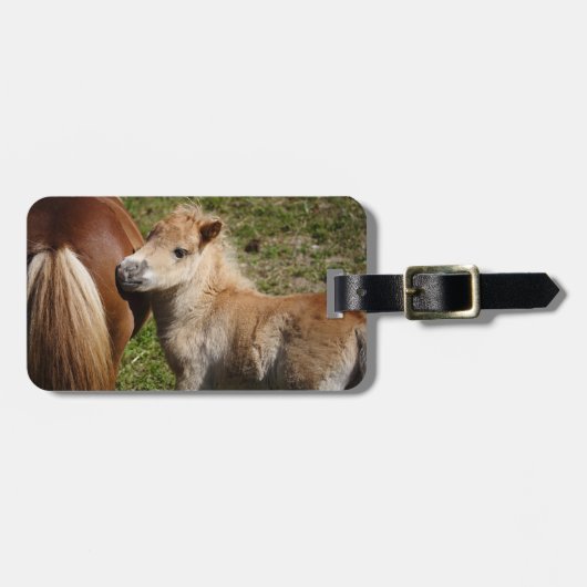 Sweet Haflinger Foal Bagagelabel (Voorkant horizontaal)