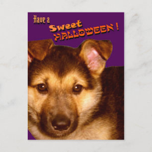 Sweet Halloween Briefkaart