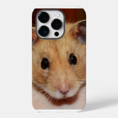 Sweet Hamster iPhone / coque ipad (Verso)