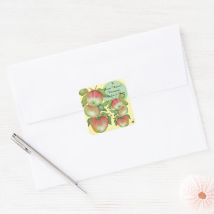 Sweet Harmony: Waterverf appels en een bij Vierkante Sticker