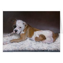 Sweet Heart, Amerikaanse Bulldog
