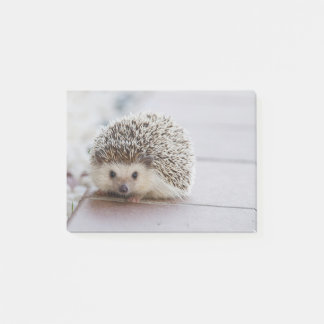 Sweet Hedgel Post-it® Notes