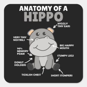 Sweet Hippo statement Anatomy of a Hippo Vierkante Sticker