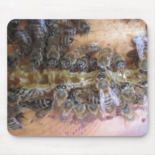 Sweet Honey Bee Mousepad Muismat (Voorkant)
