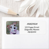 SWEET JACK RUSSELL ETIKET (Insitu)