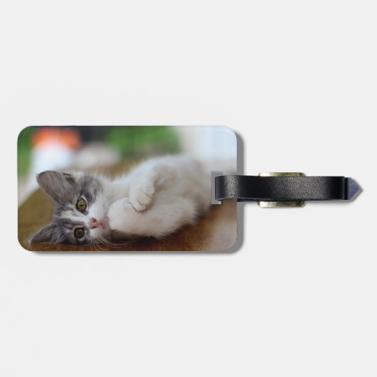 Sweet Kitten Bagagelabel (Achterkant horizontaal)