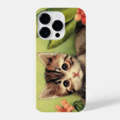Sweet  Kitten-telefoontas iPhone Hoesje (Achterkant)