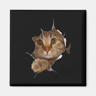 Sweet Kitten Torn Cloth - Funny Cat Lover Cat Owne Magneet