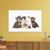 Sweet Kittens Canvas Afdruk (Insitu (Woonkamer))