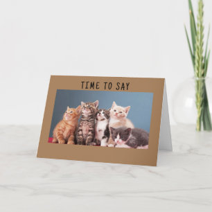 "SWEET KITTENS" HAPPY BIRTHDAY KAART