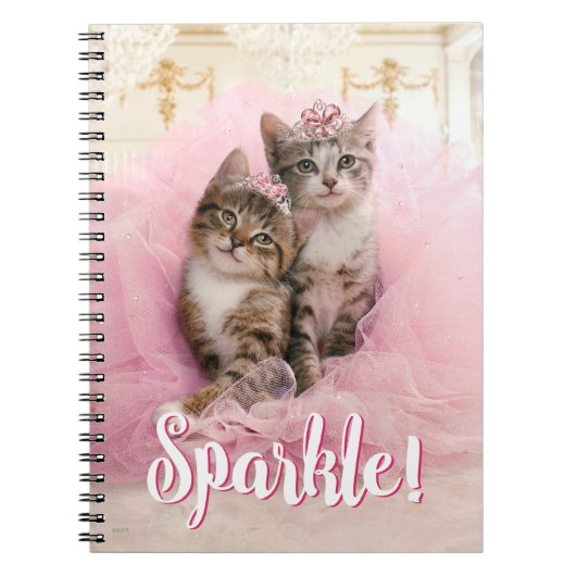 Sweet Kittens in Tiaras en Roze Sparkly Tutu Notitieboek (Voorkant)