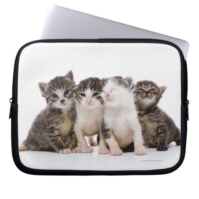 Sweet Kittens Laptop Sleeve (Voorkant)