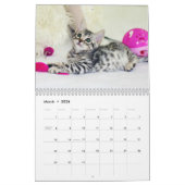 Sweet Kitties Calendrier de mur photo (Mar 2026)