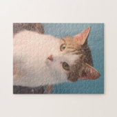 Sweet Kitty Puzzle Puzzle (Horizontal)