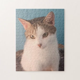 Sweet Kitty Puzzle Puzzle