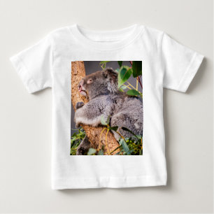 Sweet kleine koala