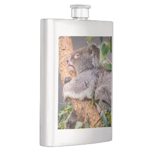 Sweet kleine koala flacon