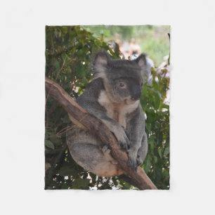Sweet Koala Beer Fleece Blanket Deken