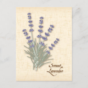 Sweet Lavender-Briefkaart aanpassen Briefkaart