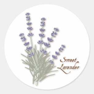 Sweet Lavender Round Sticker