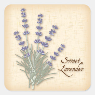 Sweet Lavender Square Sticker