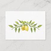 Sweet Lemons & Green Display Douche Kaart (Achterkant)