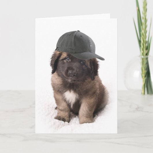 Sweet Leonberger dog puppy with a cap Kaart (Voorkant)