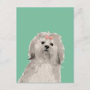 Sweet Lhasa Apso Girly Carte postale pour Amoureux