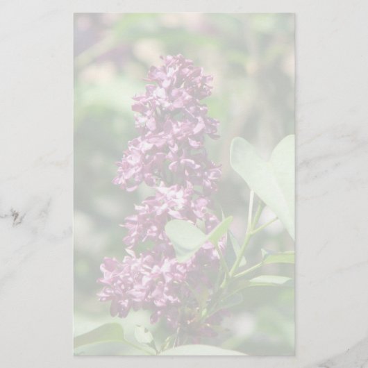 Sweet Lila Briefpapier (Voorkant)