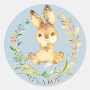 Sweet Little Bunny Het is een Boy Favor Sticker