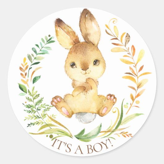 Sweet Little Bunny Het is een Boy Favor Sticker (Voorkant)
