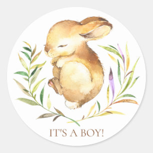 Sweet Little Bunny Het is een Boy Favor Sticker