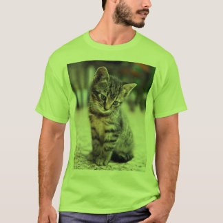 Sweet Little Cat Lover's Graphic Tee - Men's Shirt