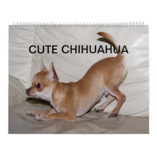 Sweet Little Chihuahua 2023 Kalender