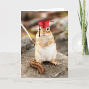 Sweet Little Chipmunk Afstuderen Wenskaart Kaart