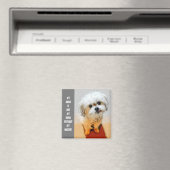 Sweet Malshi Magnet (In Situ (Lave-vaisselle))